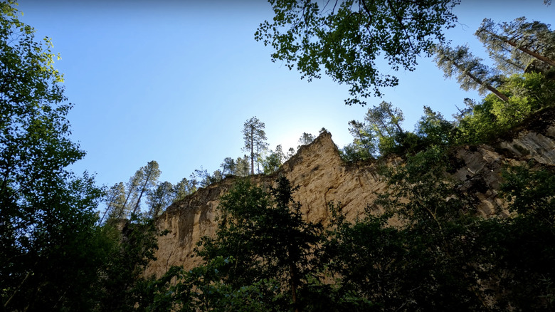 The canyon edge in Botany Canyon