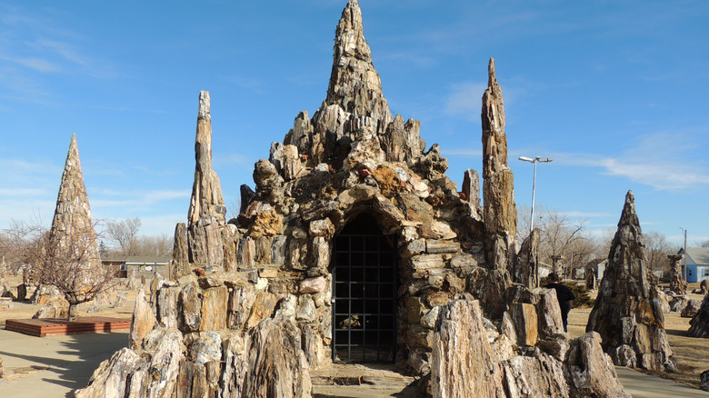 Petrified forest in Lemmon, South Dakota