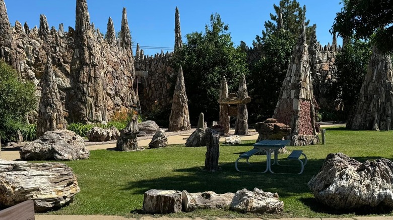 Petrified forest in Lemmon, South Dakota