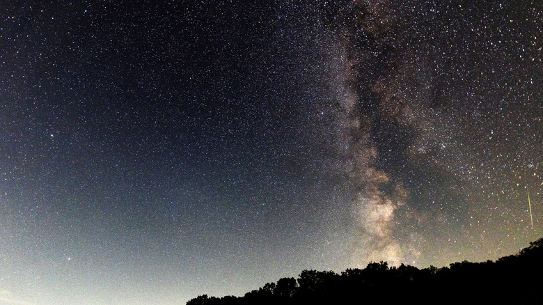 The Milky Way and countless stars above a tree line at night