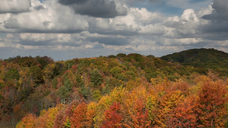 Fall foliage in Hot Springs, North Carolina