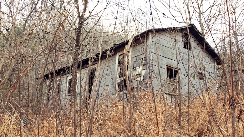 Abandoned farmhouse