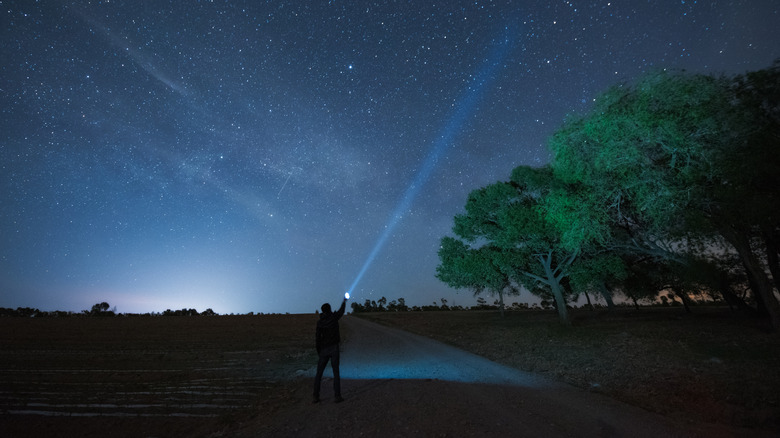 Person with a flashlight observing the night sky with trees nearby