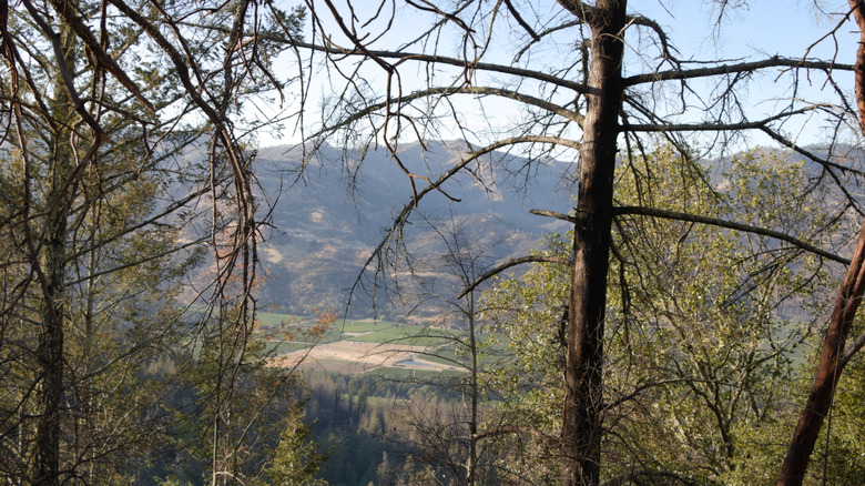 View of Napa Valley from Coyote Peak in California's Bothe-Napa Valley State Park