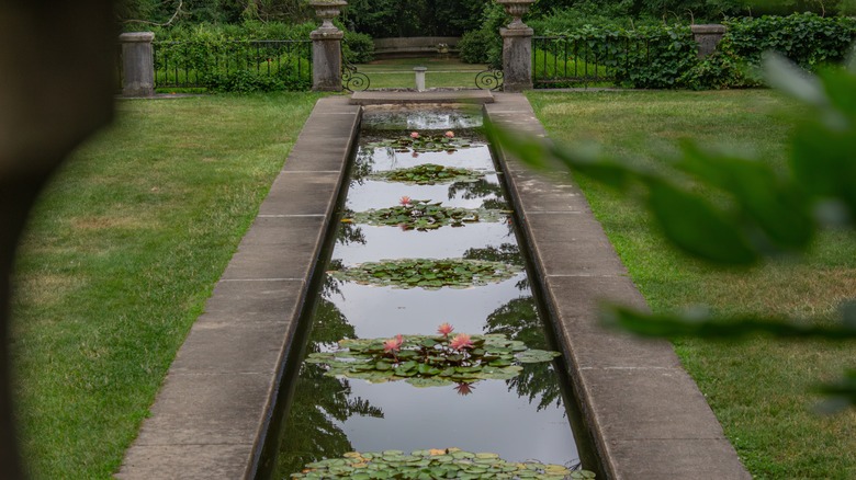 New Jersey Botanical Gardens pond