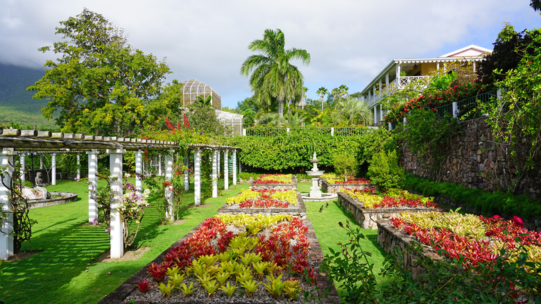 View of the gardens at Botanic Gardens of Nevis