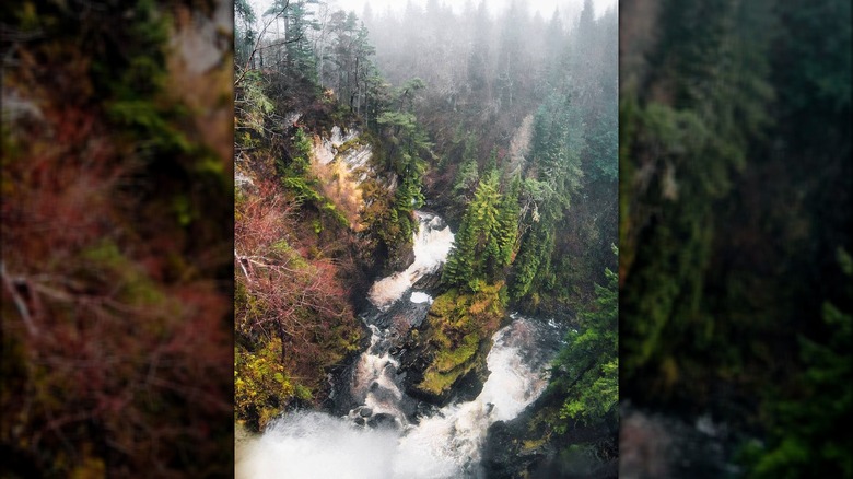 Plodda Falls seen from viewing platform