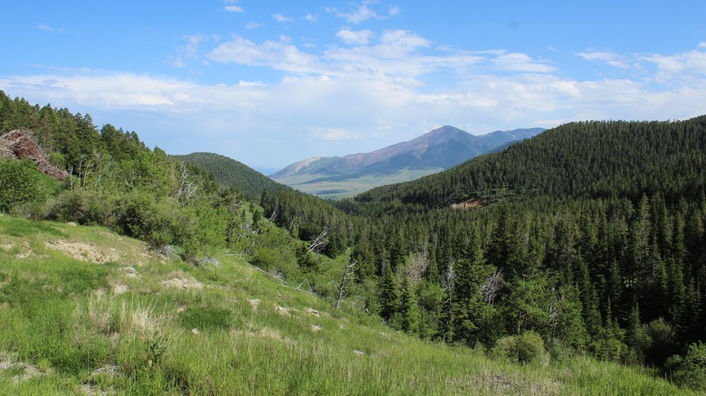 The Beartooth Mountains near Red Lodge