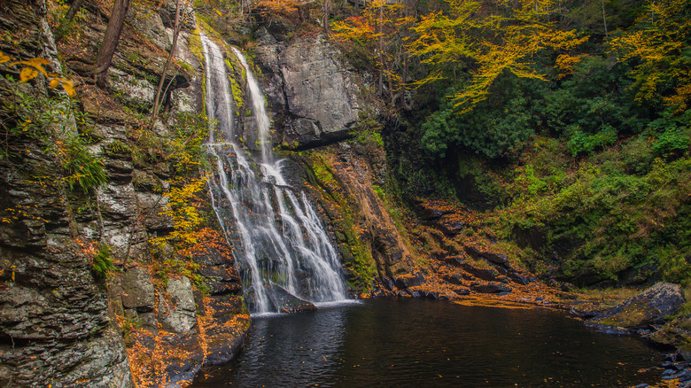 beautiful bushkill falls autumn