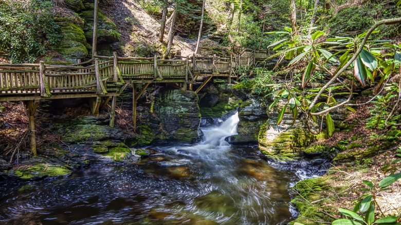 wooden bridges woods bushkill falls