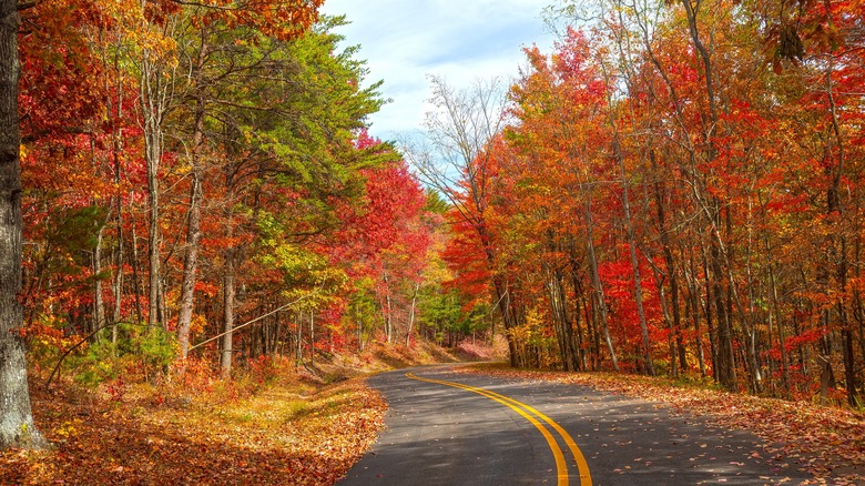 Foothills Parkway in the Great Smokies