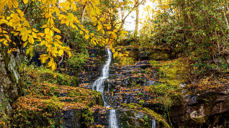 Hen Wallow Falls