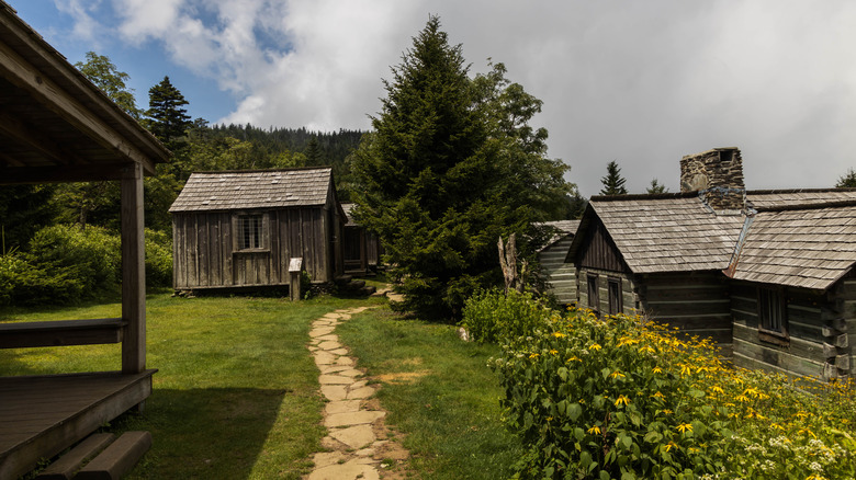 A trail between LeConte Lodge cabins