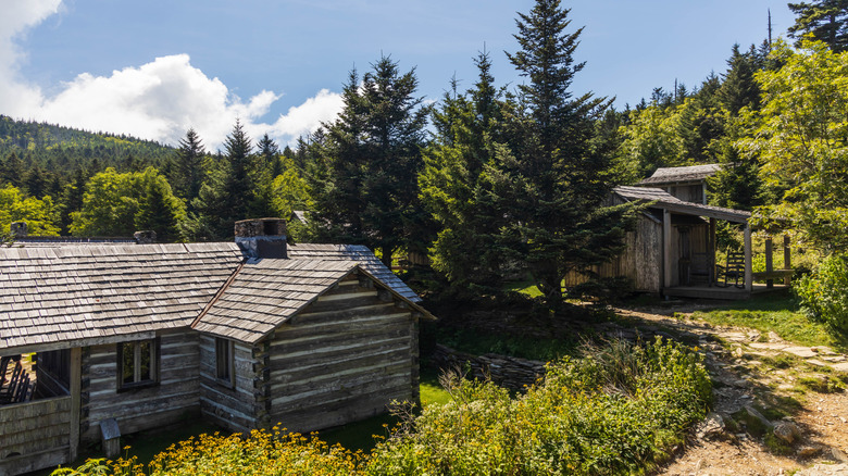 Cabins at LeConte Lodge surrounded by greenery