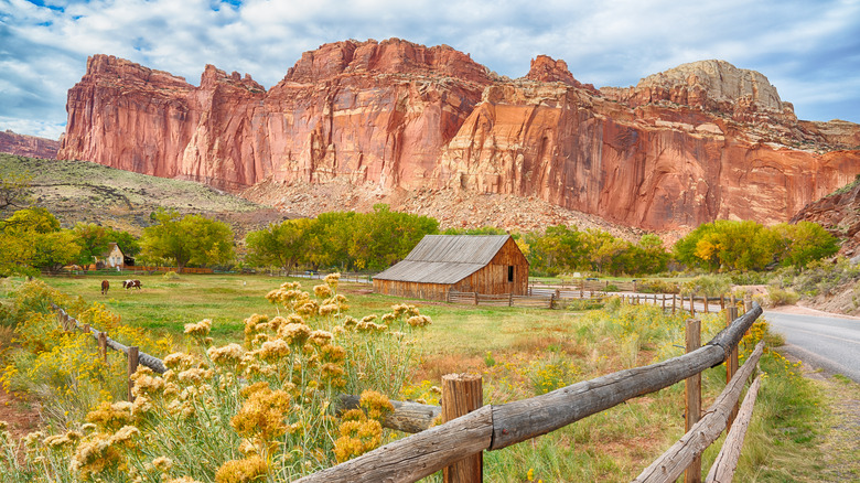 Historic Gifford Barn and horse pastures along the Fremont River in Capitol Reef National Park, Utah