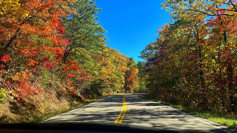 drive near Appalachian Mountains