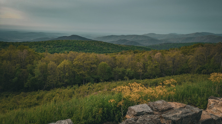 Shenandoah Valley, VA in spring