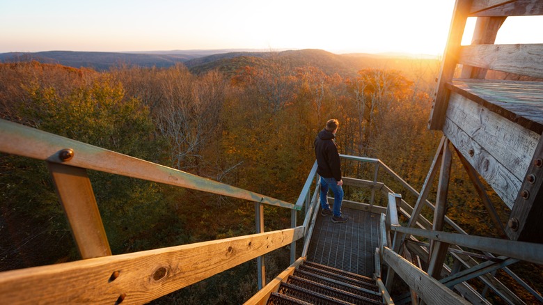 Person on Bickle Knob Observation Tower looking at sun on the horizon