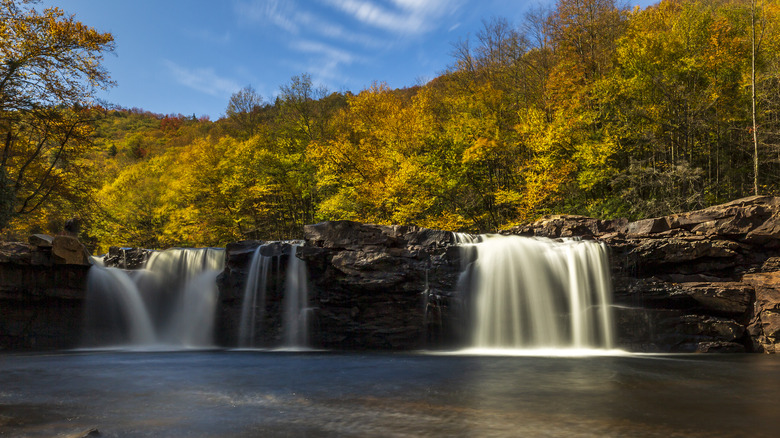 Forest waterfall landscape near Elkins, West Virginia