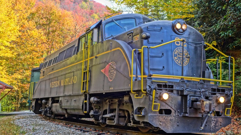 Train and railroad near Elkins, West Virginia