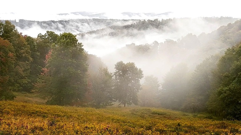 Misty hills in Helvetia, West Virginia