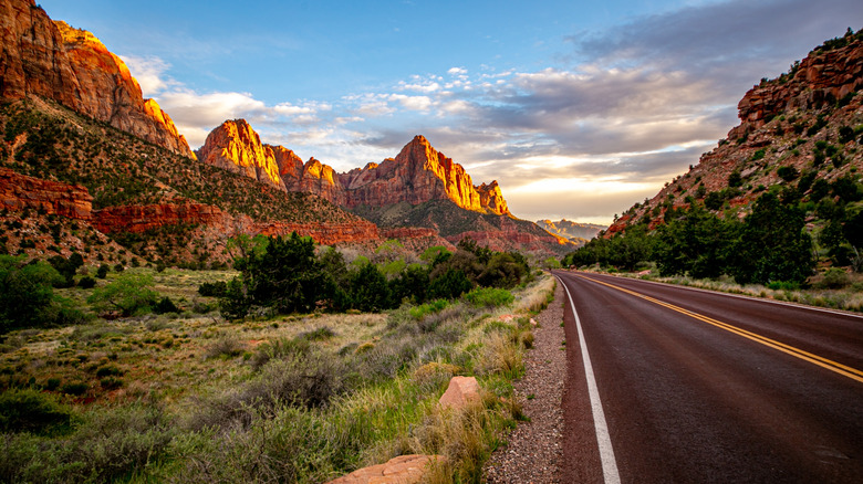 Road side of Zion National Park, showing mountains, trees, grass, and a blue sky with clouds.