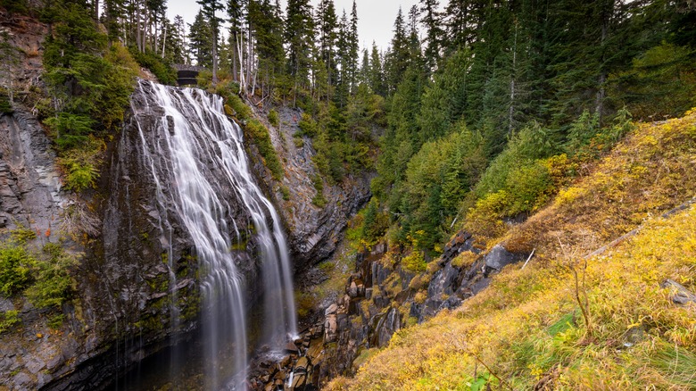 Nerada Falls at Mount Rainier