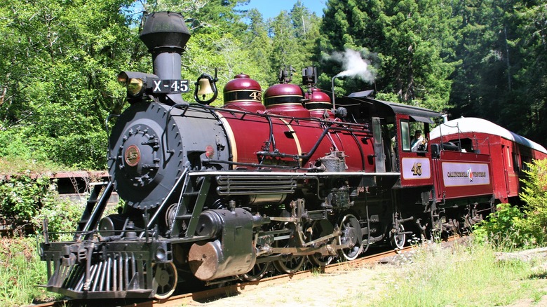 Skunk Train in Fort Bragg