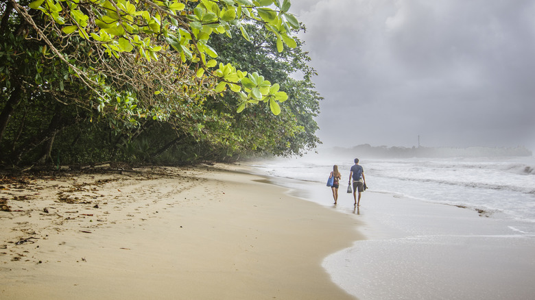 cahuita costa rica beach