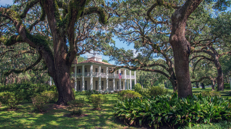 Historic building framed by ancient oaks in Eden Gardens State Park