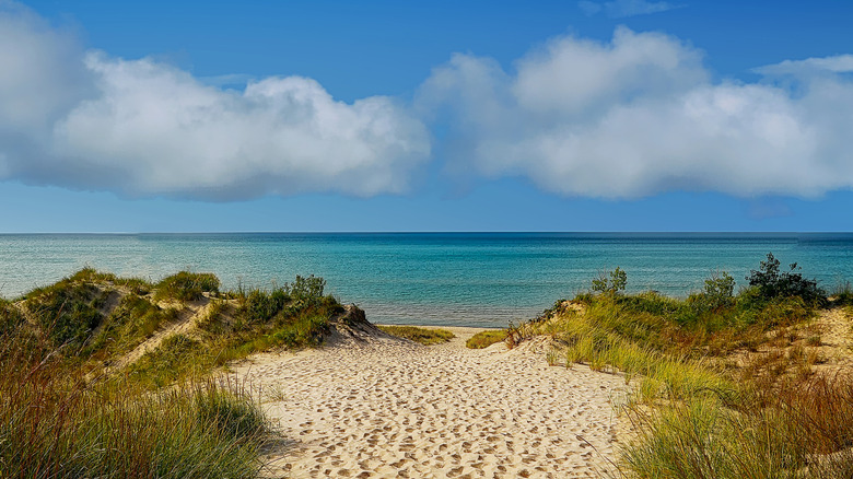 A view of Lake Michigan from Indiana Dunes State Park