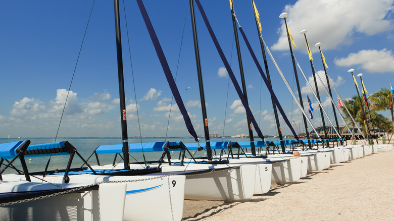 Sailboats lined up at Hobie Beach