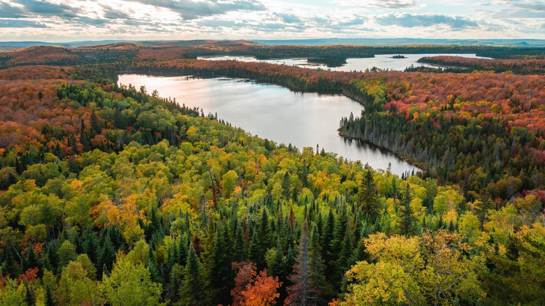 Fall foliage in Minnesota around bodies of water