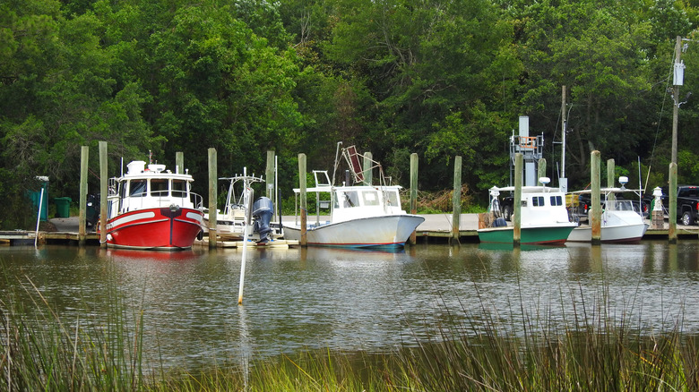 Small boat harbor in Ocean Springs