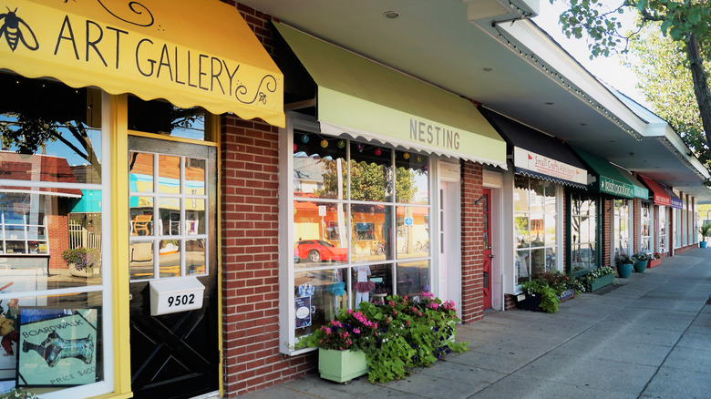 Stone Harbor commercial street landscape