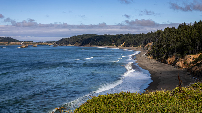 Beach view of coastal Port Orford in Oregon