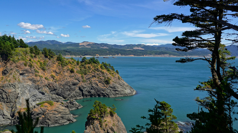 Cliffs overlooking the ocean in Port Orford, Oregon