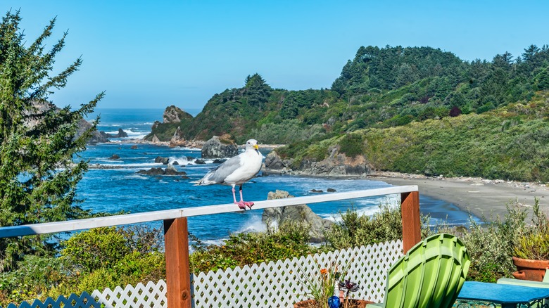 Balcony views over a Brookings beach