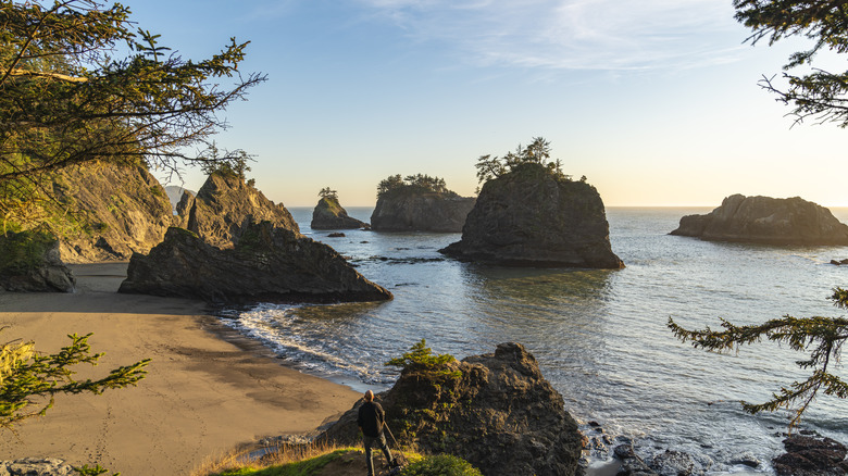 A beach along the Brookings coastline