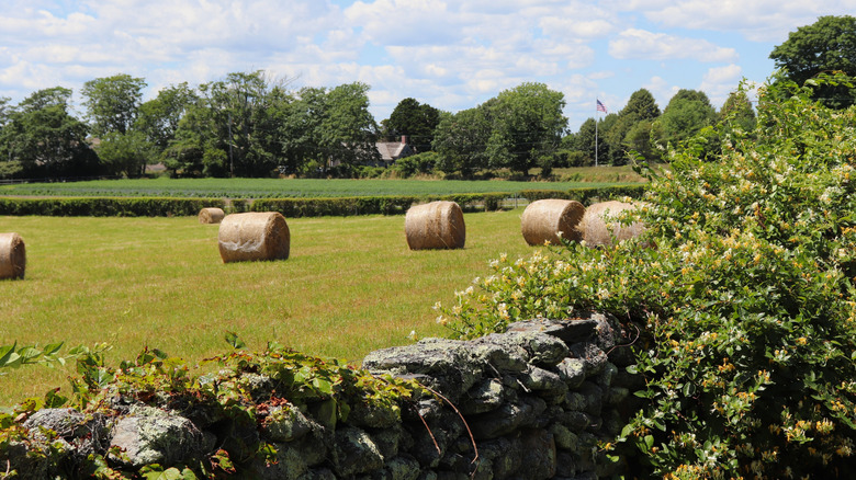 Farmland in Little Compton