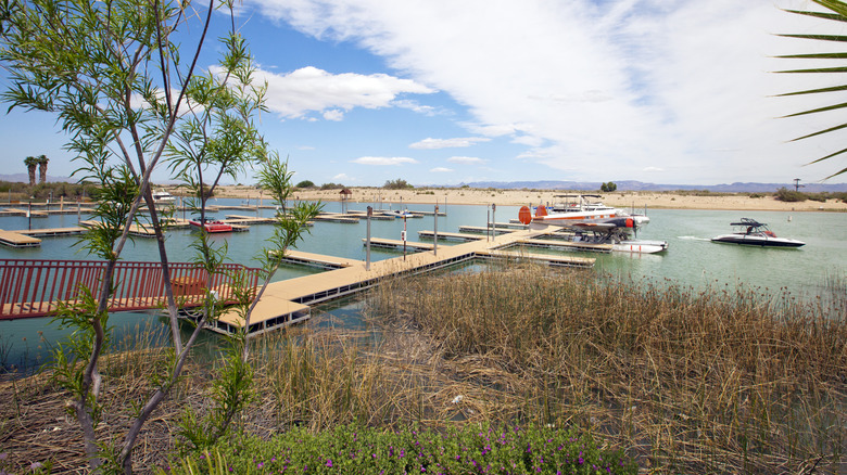 Pirate Cove Resort near Needles, California