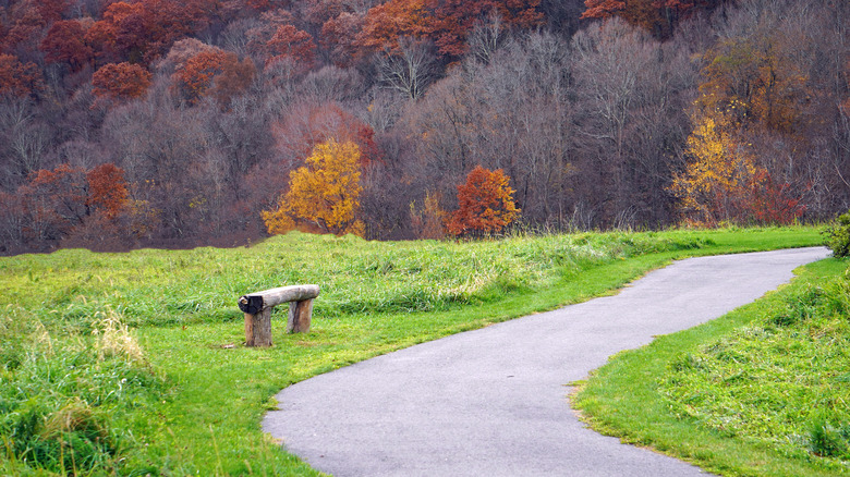 Walking path in Amenia