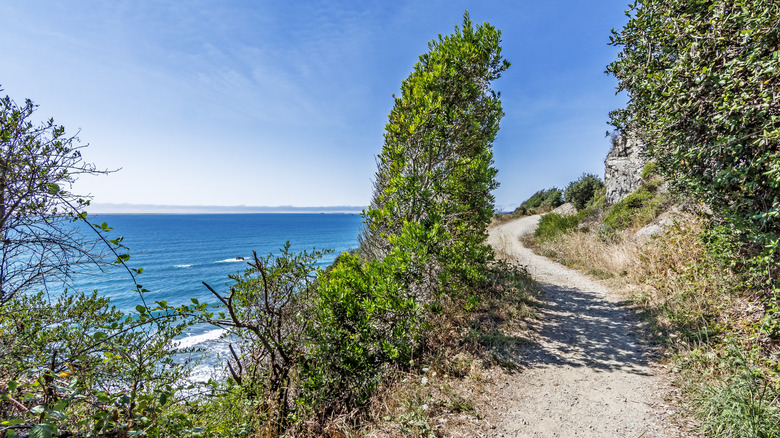 Enderts Beach hiking trail