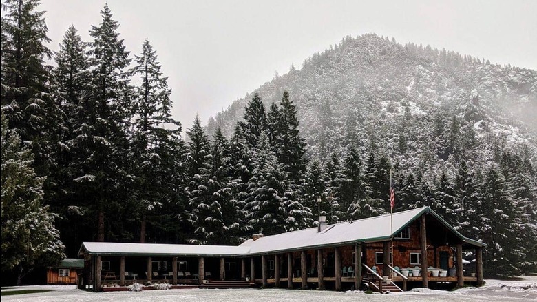 Forest lodge covered in snow