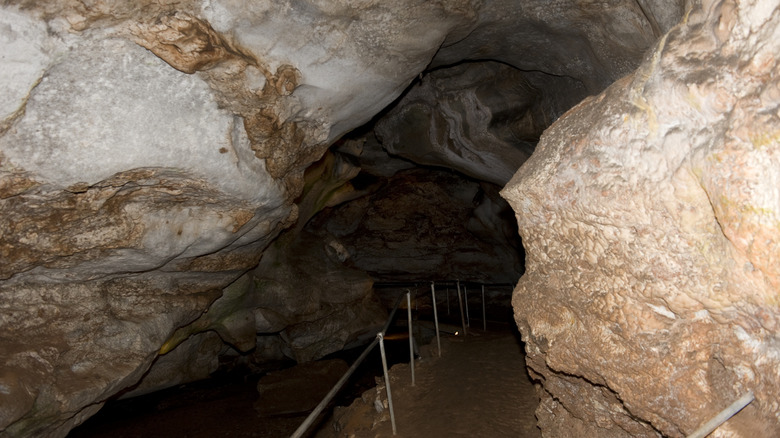 Path leading into Oklahoma's Alabaster Caverns State Park