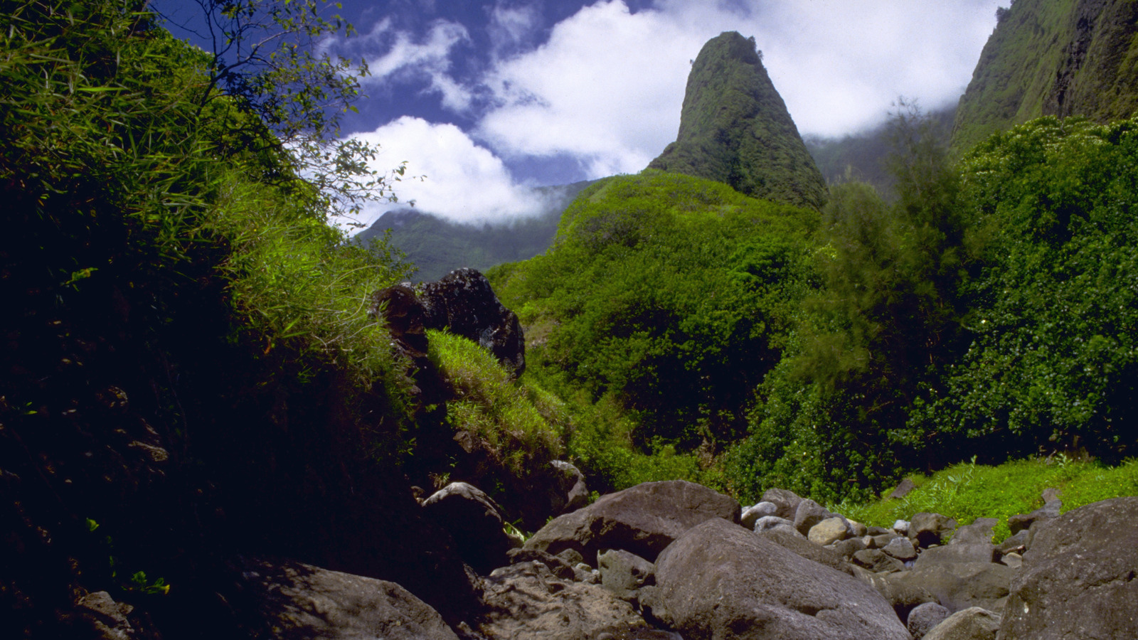 Hike Through A Lush Tropical Paradise At This Historic State Park In Hawaii