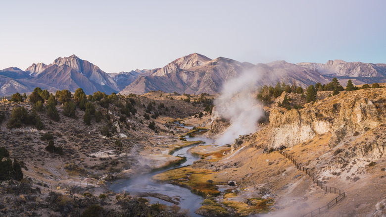 A view of a winding, steaming creek without mountains in the background