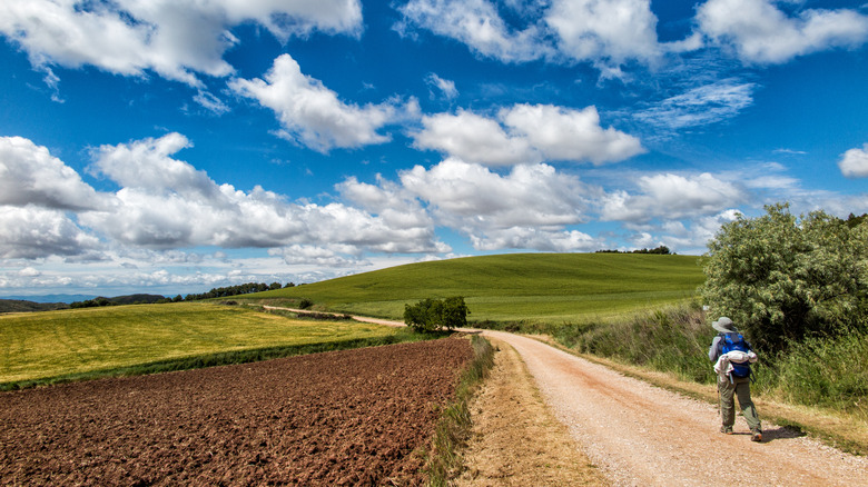 Hiker walking on Camino trail