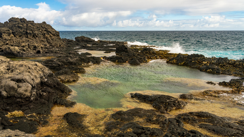 View of tidepools surrounded by lava rock and ocean in Kauai, Hawaii