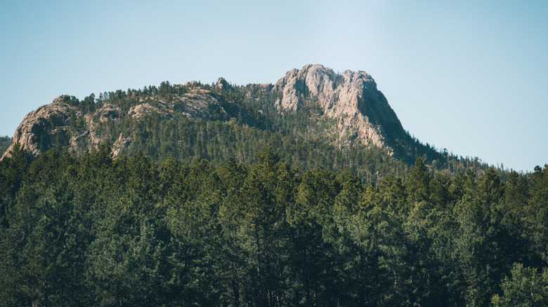 South Dakota's Black Hills and blue sky